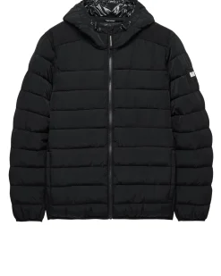 La Gaurdia Puffer Jacket Black - Plus Size