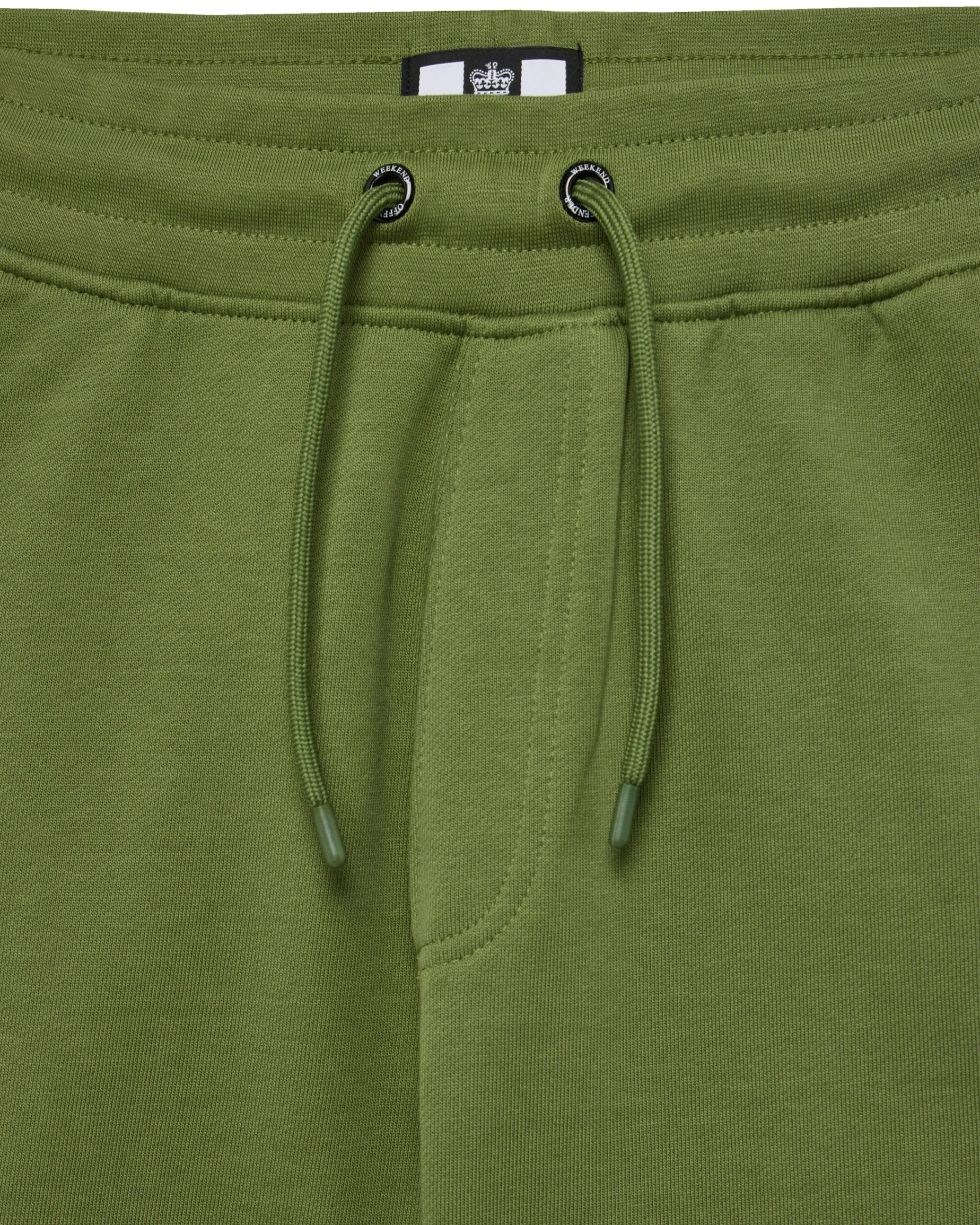 Plus Size - Pink Sands Jogger Shorts Sapling Green